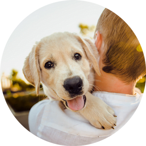 A boy holding a dog after going to an animal hospital in Hopewell Junction, NY.